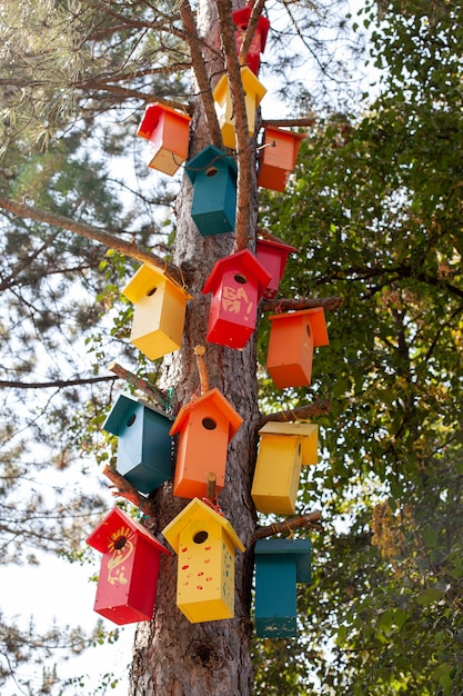 Pajareras de madera de colores en un árbol