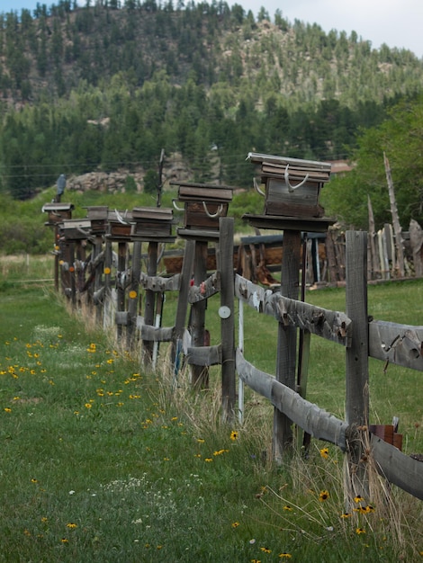 Pajareras en la valla de madera en la finca cerca del embalse de Eleven Mile, Colorado.