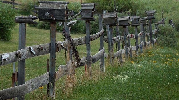 Pajareras en la valla de madera en la finca cerca del embalse de Eleven Mile, Colorado.