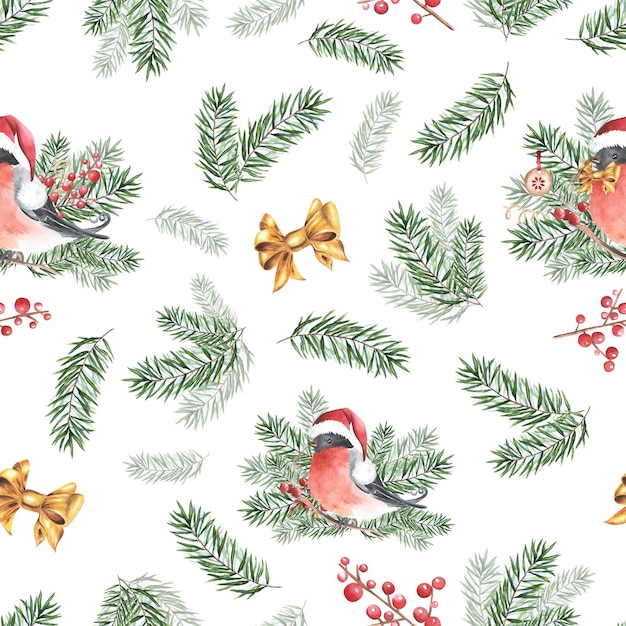 Pájaro Bullfinch Santa Claus sombrero rojo invierno patrón sin costura Ilustración en acuarela rama de abeto