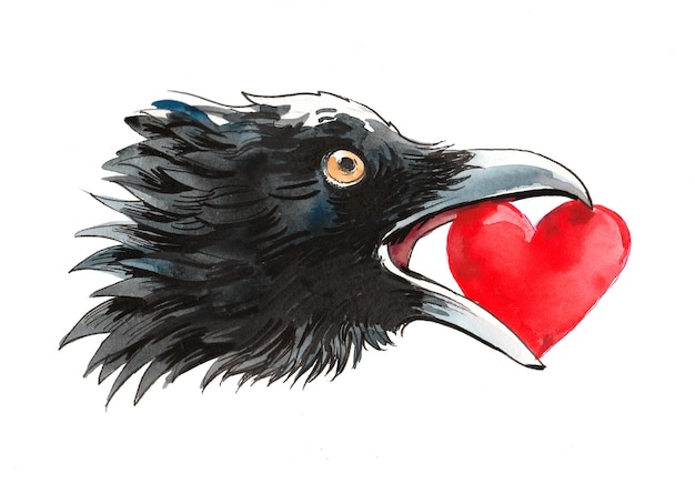 Pájaro cuervo con corazón. Dibujo a tinta y acuarela