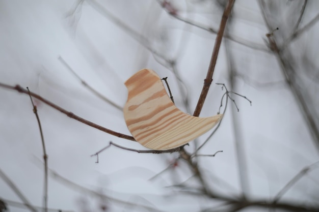 Pájaro de juguete de madera hecho a mano en la rama de un árbol en un día de invierno Concepto de primavera de Hello Paisaje de invierno Ayudando a los animales a alimentarse