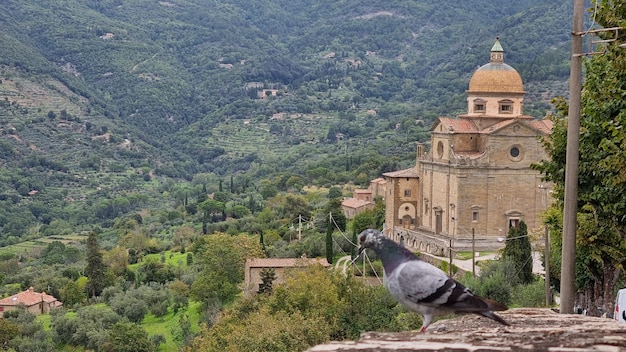 Foto un pájaro se posa en una pared frente a un edificio con una iglesia al fondo.