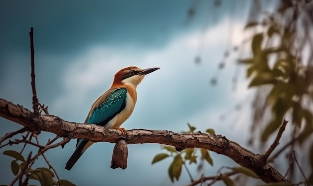 Un pájaro se sienta en una rama de un árbol