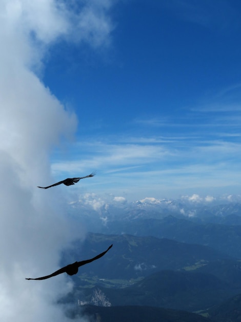 Un pájaro volando en el cielo por encima de las montañas