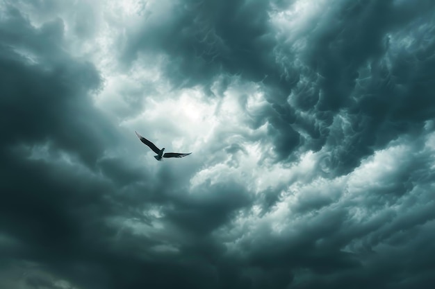 Un pájaro vuela a través de un cielo tormentoso