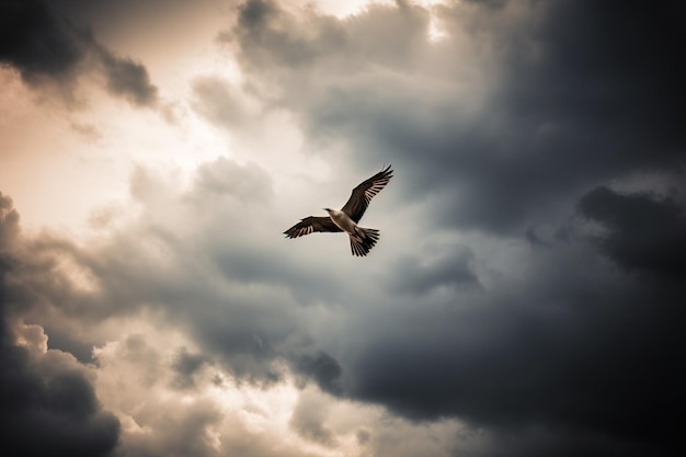 Un pájaro en vuelo contra un sk nublado