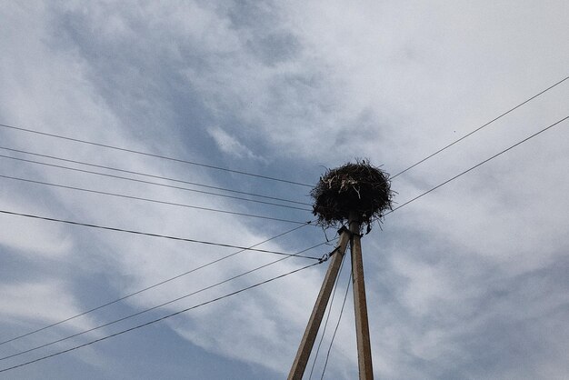 Foto los pájaros anidan en un poste de transmisión de energía