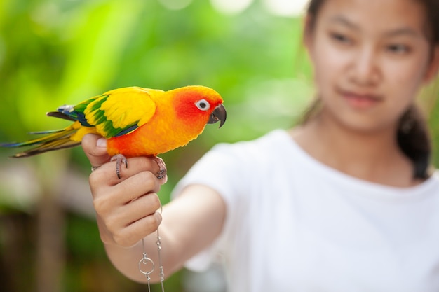 Pájaros hermosos del loro que se colocan en la mano de la mujer. Chica adolescente asiática juega con su pájaro loro mascota