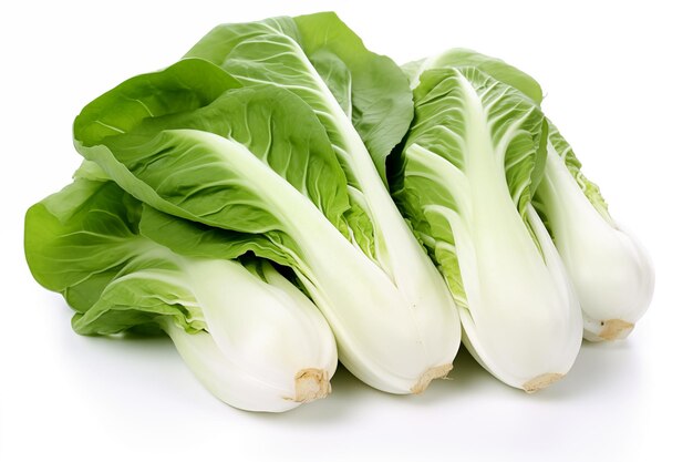 Pak choi en un fondo blanco