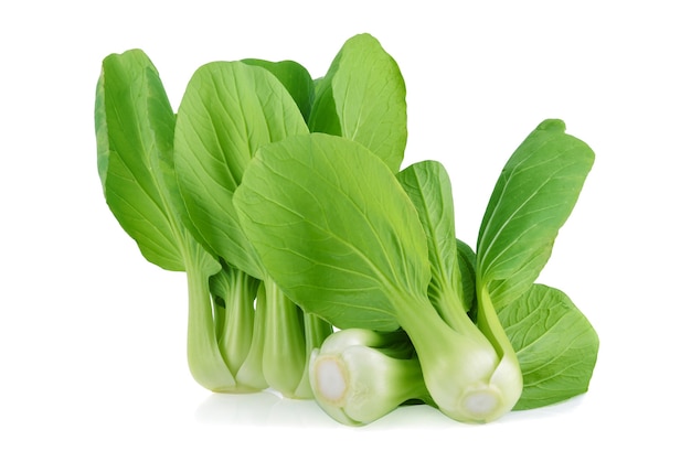 Pak Choi-Gemüse auf Weiß