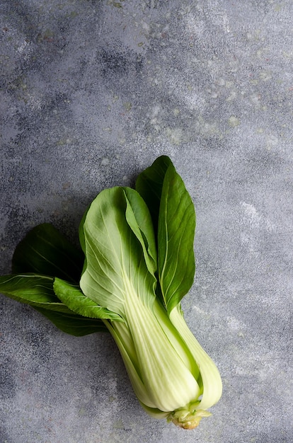 Pak-Choi-Pflanze auf grauem Hintergrund