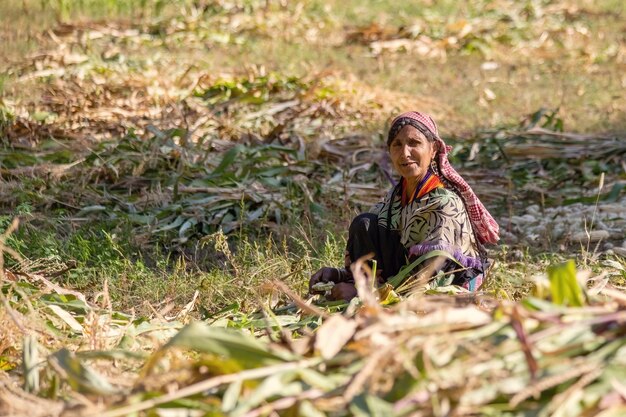 Pakistanische Frau arbeitet auf dem Feld in Nordpakistan