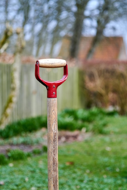 Pala en un jardín verde al aire libre en el patio trasero de una casa Primer plano de una herramienta o equipo de jardinería de madera afuera en un patio con una cerca y árboles en el fondo Una pala clavada en el suelo