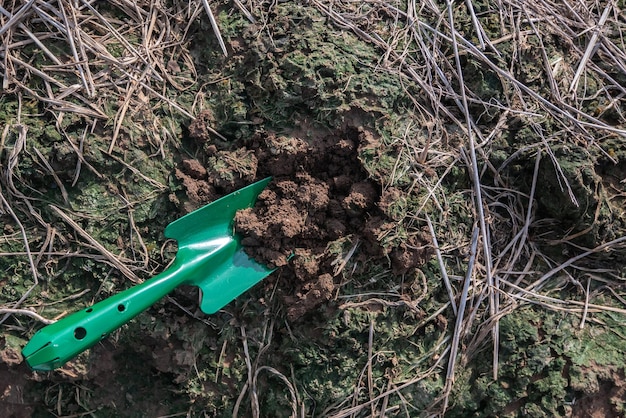 Pala de jardín verde y suelo en la huerta, concepto de equipo agrícola