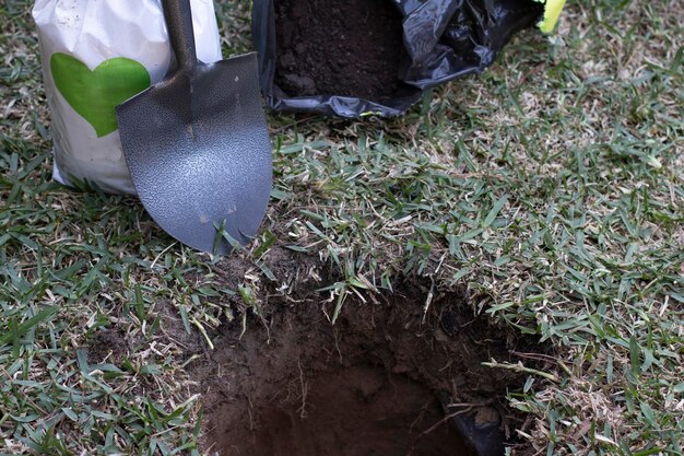 Foto una pala junto a un agujero, preparada para plantar un árbol.