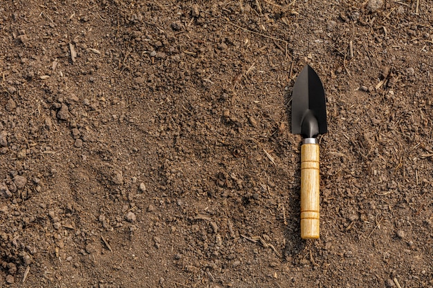 Foto pala en el suelo para preparar el suelo para plantar árboles. concepto de agricultura