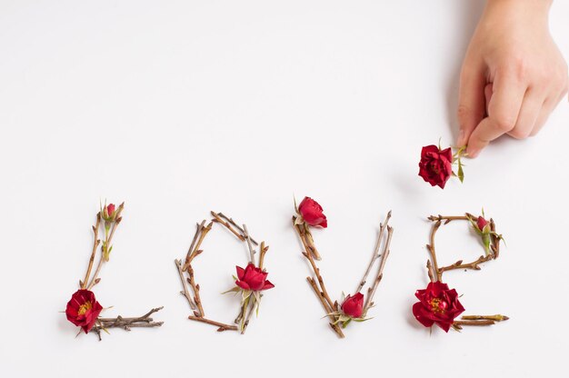 La palabra "amor", formada por ramitas con pequeñas flores de rosas rojas sobre un fondo blanco con un lugar para el texto y la mano de un niño con una pequeña flor de rosa en la esquina superior del marco.