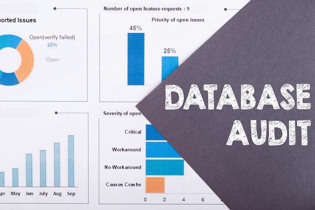 La palabra AUDITORÍA DE LA BASE DE DATOS está escrita en un fondo gris con diagramas y gráficos