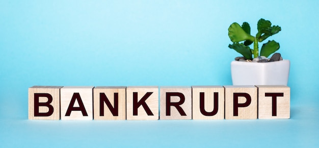 La palabra BANKRUPT está escrita en cubos de madera cerca de una flor en una maceta sobre una superficie azul claro