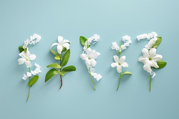 Palabra blanca de primavera en las flores