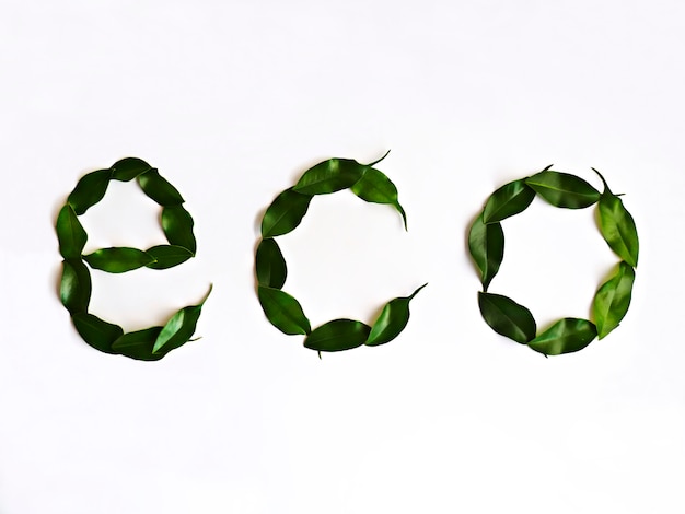 Foto palabra eco hecha con hojas naturales