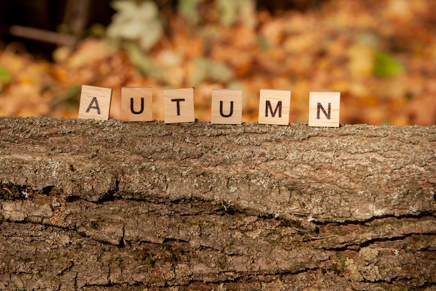 La palabra otoño está escrita en letras de madera sobre un fondo otoñal. Concepto de otoño y concepto de calendario. Copia espacio