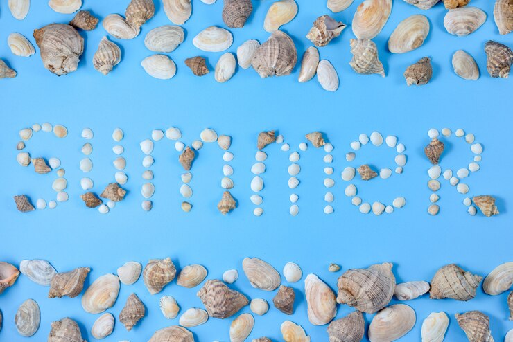 Foto palabra verano vario patrón de concha sobre fondo azul pastel