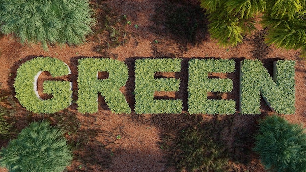 Palabra verde en el suelo y planta de fondo 3d renderizado