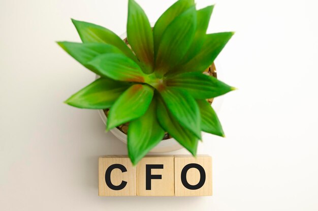 Palabras conceptuales CFO en bloques de madera sobre un hermoso fondo de billetes de dólar La palabra CFO en cubos de madera con monedas y calculadora en el fondo Concepto de negocio CFO Director financiero