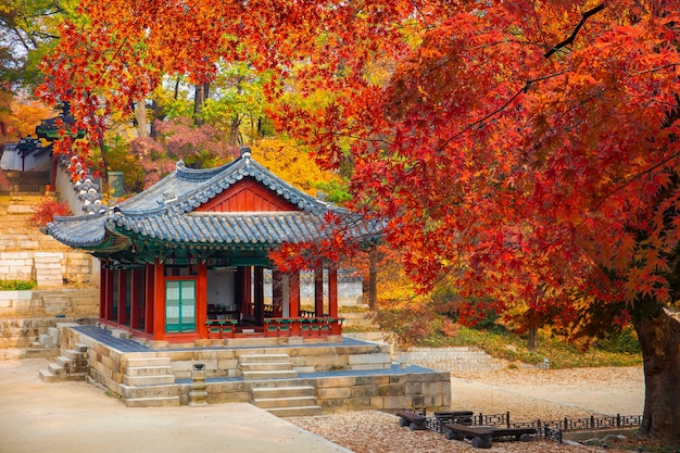 Palacio de Changdeokgung en otoño Seúl Corea del Sur