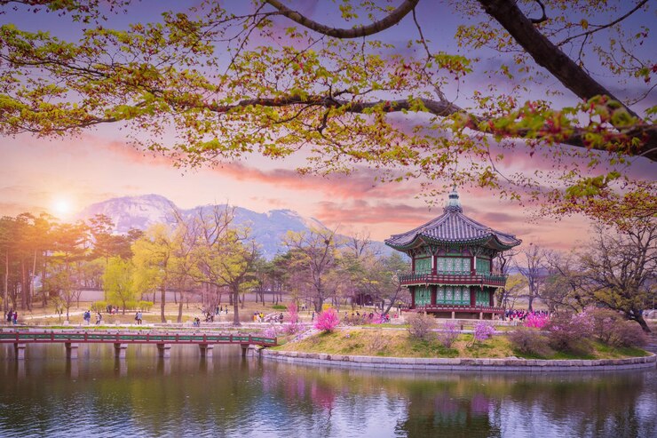 Foto palácio de gyeongbokgung com árvore de cerejeira em flor na primavera na cidade de seul, coreia do sul