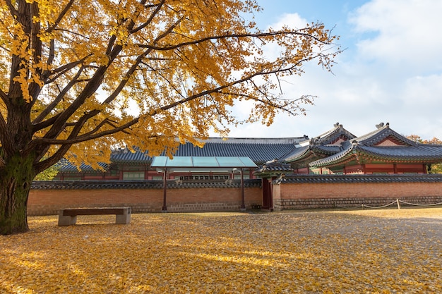 Palácio gyeongbokgung no outono de seul, coreia do sul