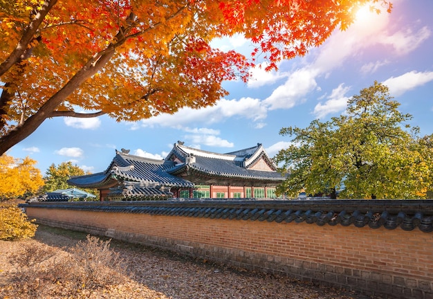 Palacio de Gyeongbokgung en otoño con hojas de arce en primer plano Corea del Sur