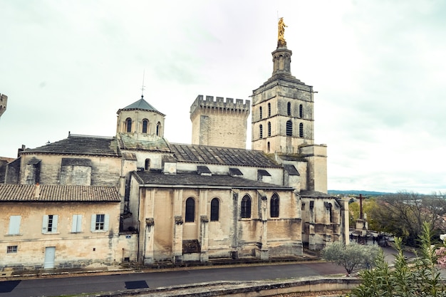 El Palacio de los Papas en el casco antiguo de Avignon.France.