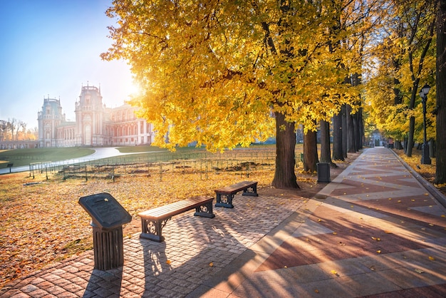 Palácio Tsaritsyno em Moscou e as árvores douradas do beco no parque em uma manhã ensolarada de outono