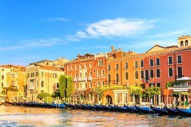 Palacios de Venecia con jardines junto al canal y góndolas en el frente