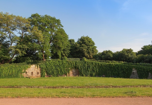 Palaisgarten en Dresde