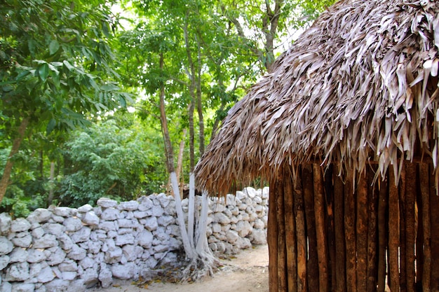 Foto palapa cabana selva mexicana