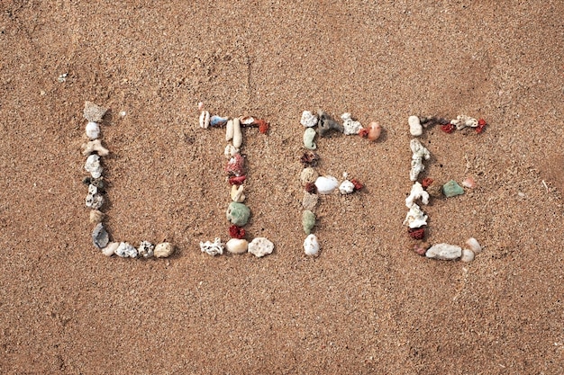 Palavra de vida feita de concha na praia arenosa Conceito de estilo de vida positivo