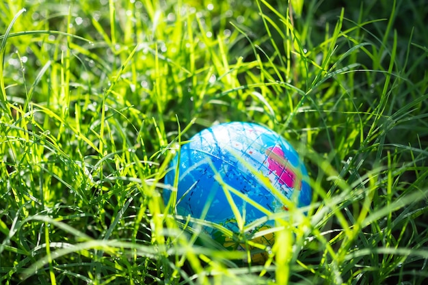 Palavra do globo no fundo da grama do planeta Terra na natureza folhas verdes Primavera com dia de luz para cuidados ecológicos proteger a floresta de crescimentoCartão do dia da árvore do ambiente para o conceito de conservação do dia mundial da terra