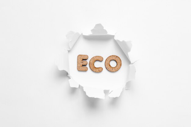 Palavra eco em um buraco rasgado isolado no branco