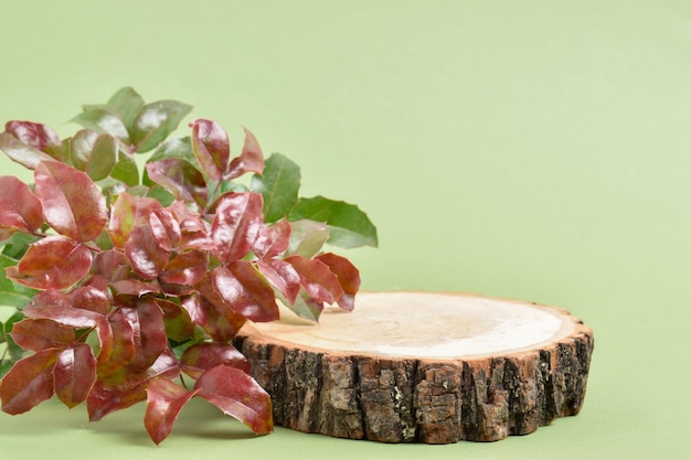 Palco em madeira para apresentação de produtos ecológicos. Pódio. Uma vitrine natural para a marca.