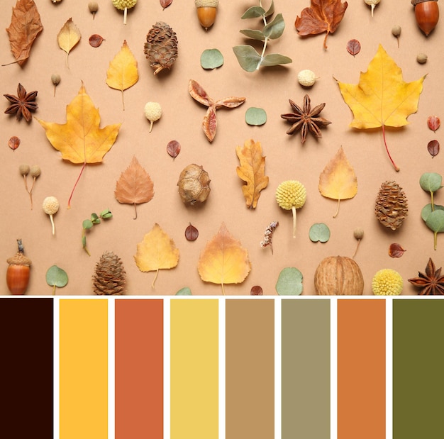 Paleta de colores y composición con hojas de otoño sobre fondo beige plano