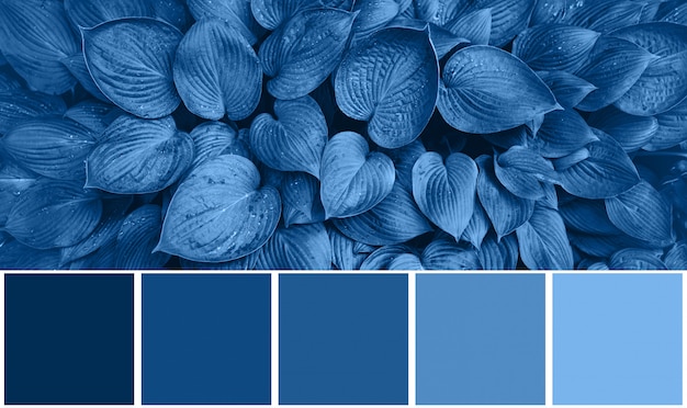 Foto paleta de colores con texturas naturales, hojas inspiradas en el moderno color azul del año 2020. fondo de hojas tropicales. concepto de moda