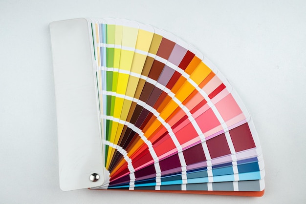 Paleta de cores isolada no fundo branco