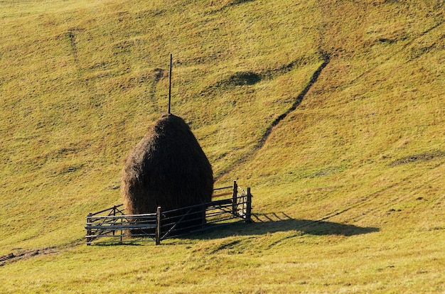 Palheiro em um prado de montanha. Aparência rústica. Cárpatos, Ucrânia, Europa