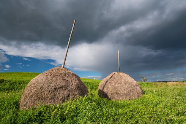 Palheiros de feno colhido contra o céu tempestuoso