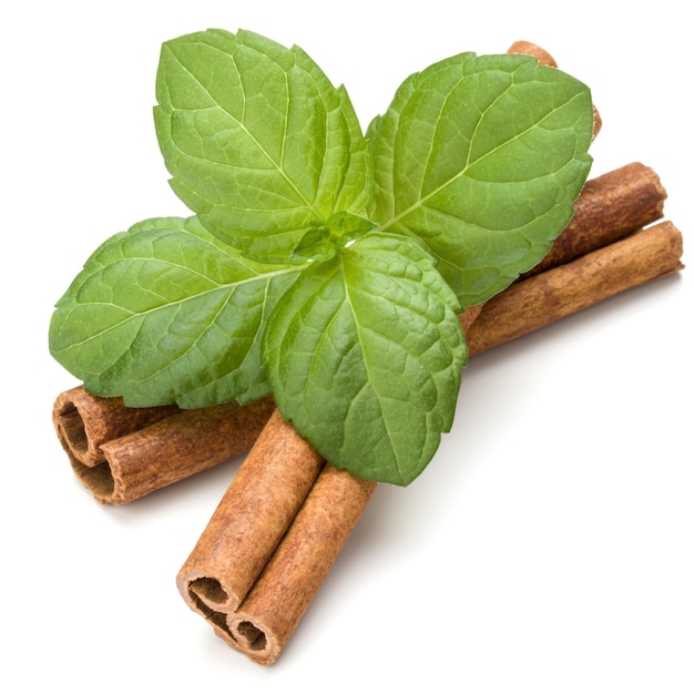 Palitos de canela y hojas de hierba de menta fresca aislado sobre fondo blanco.