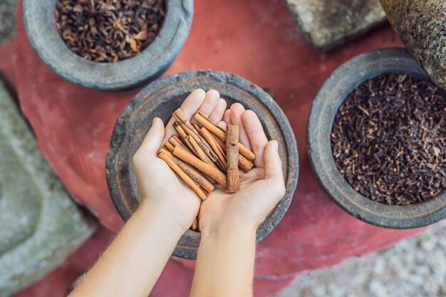 Palitos de canela en manos femeninas sobre un fondo de especias.